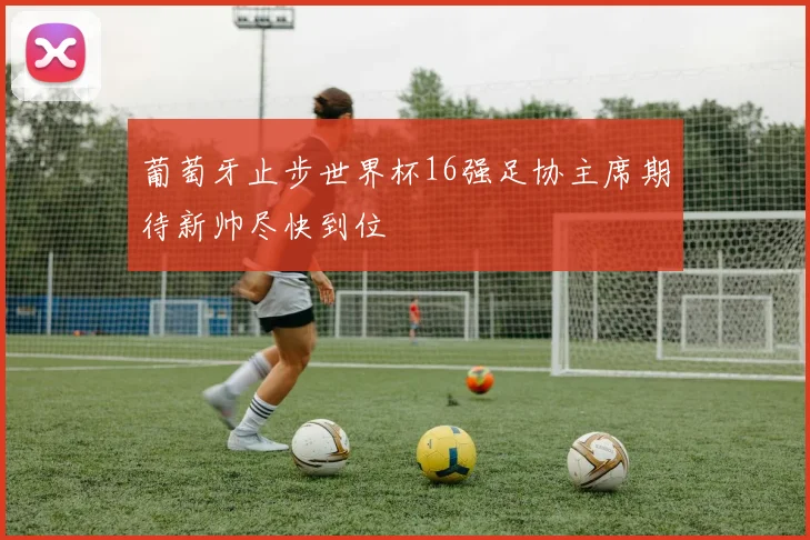 葡萄牙止步世界杯16强足协主席期待新帅尽快到位